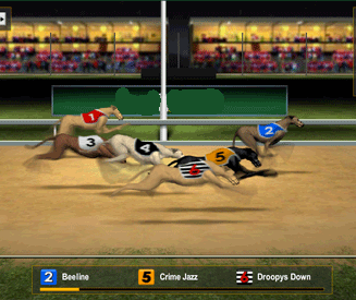 Virtual Dog Racing – Place Your Bets on Virtual Canines