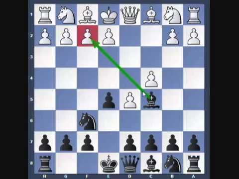 Win Big in Online Chess Tournaments – Checkmate Your Opponents